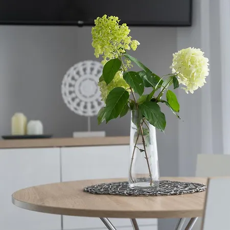 Appartement Grunwaldzka 12 - Z Wanna I Trasem - 50m Od Plazy Mieszkanie 2d I 2c Pobierowo